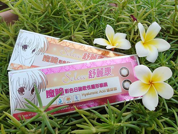 SAM_0453_conew1.jpg SAM_0453_conew1.jpg