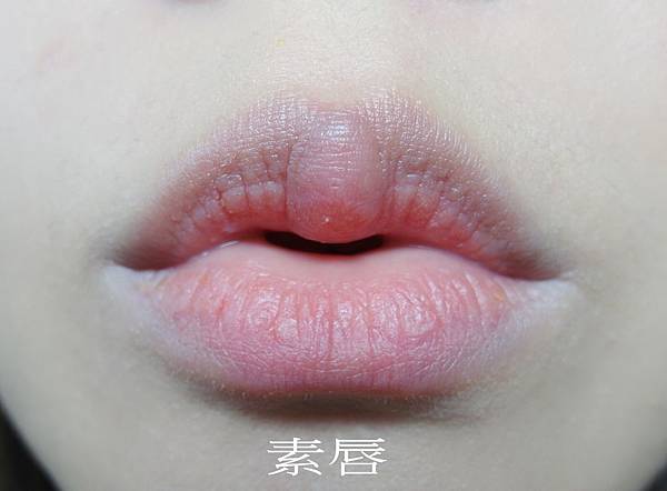 SAM_2949_conew2.jpg SAM_2949_conew2.jpg