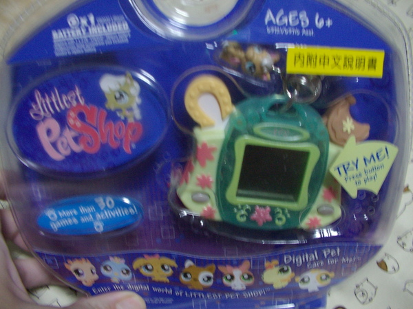IMGP1071.JPG IMGP1071.JPG