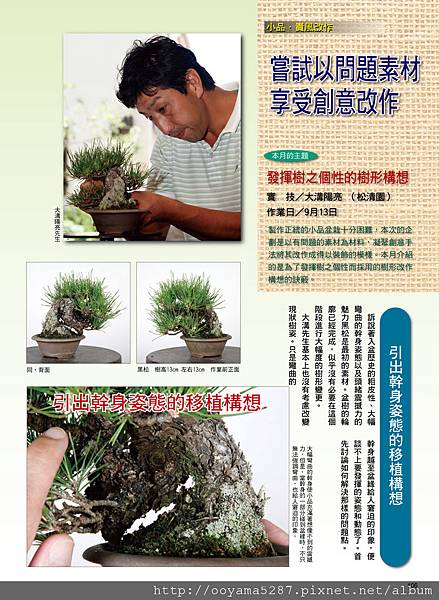 發揮樹之個性的樹形構想和發揮怪體木個性的樹枝配置 綠生活實業盆栽園藝資材grace Life Bonsai 痞客邦 發揮樹之個性的樹形構想和發揮怪體木個性的樹枝配置 綠生活實業盆栽園藝資材grace Life Bonsai 痞客邦