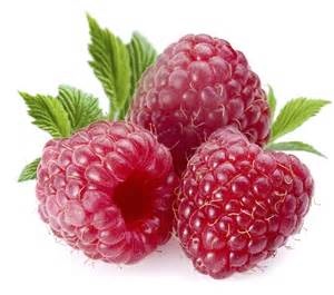 thCANW3RMV thCANW3RMV