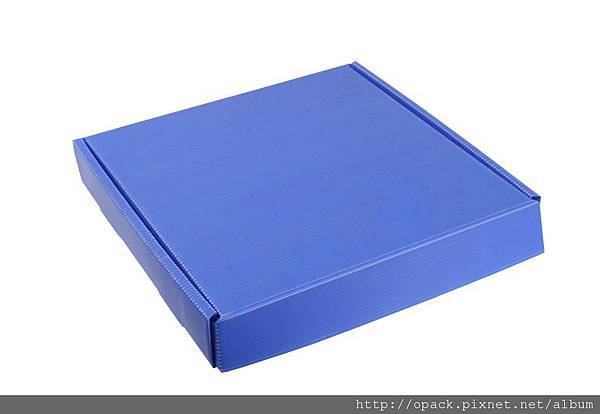 PP PIZZA BOX-2.jpg