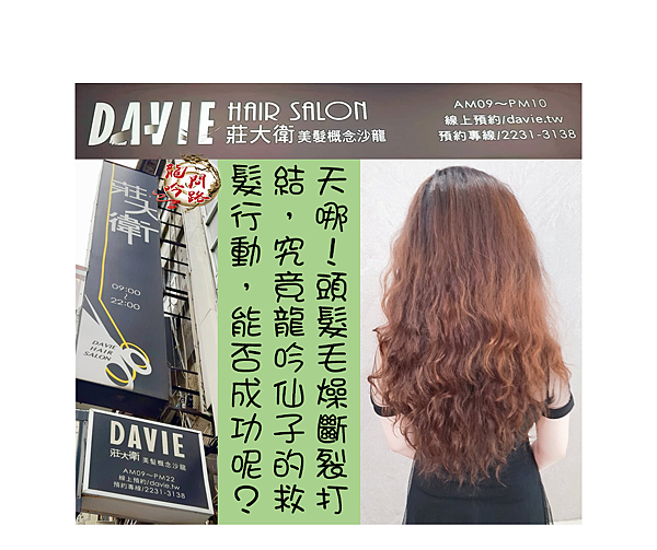 莊大衛美髮概念沙龍DAVIE HAIR SALON |  完美打造屬於妳心目中的絕美髮型 |  親民的價格最高檔的享受