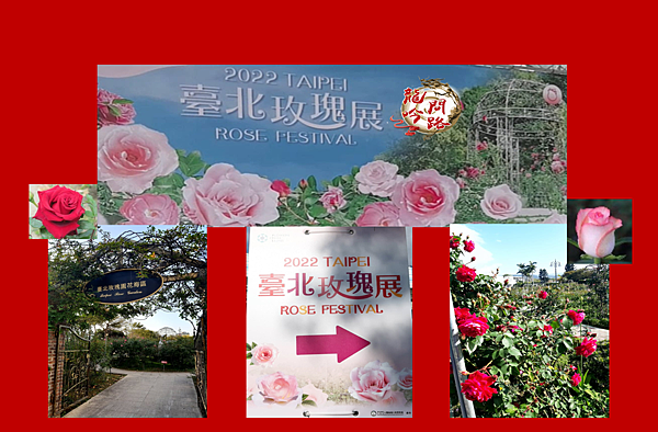 【賞花之旅】臺北玫瑰園|2022新生公園玫瑰展|玫瑰花季|免費入園|臺北熱門景點