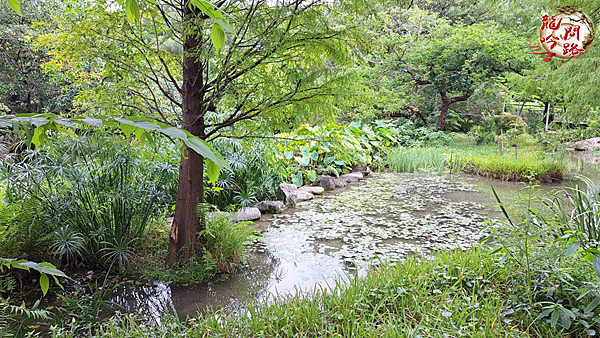 大安森林公園|幼兒園主題教學戶外資源探索|親親文化戶外研習|