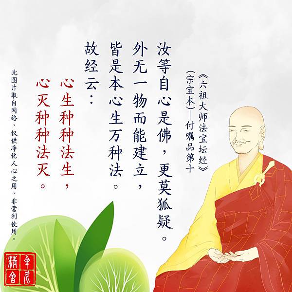 raw-image