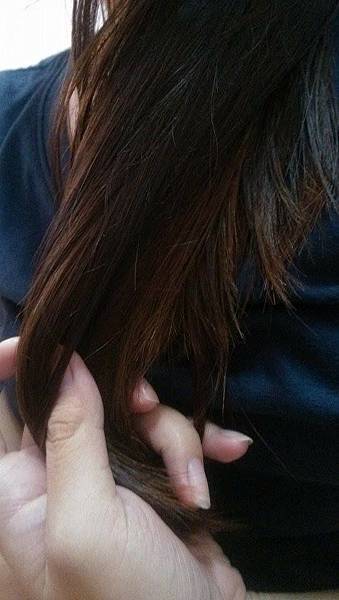 12083972_1175840185765228_585251941_n.jpg 試用