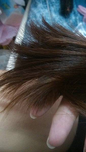 12084079_1175840295765217_670497550_n.jpg 試用