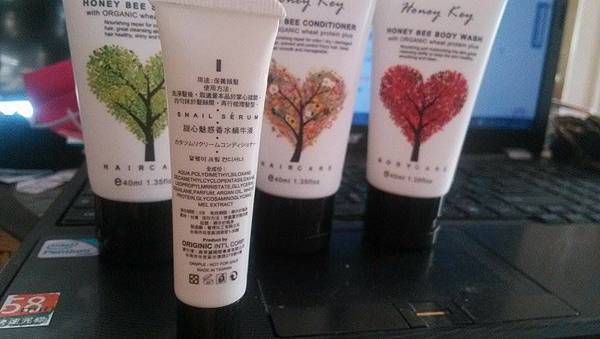 12086807_1175839919098588_820222678_n.jpg 試用