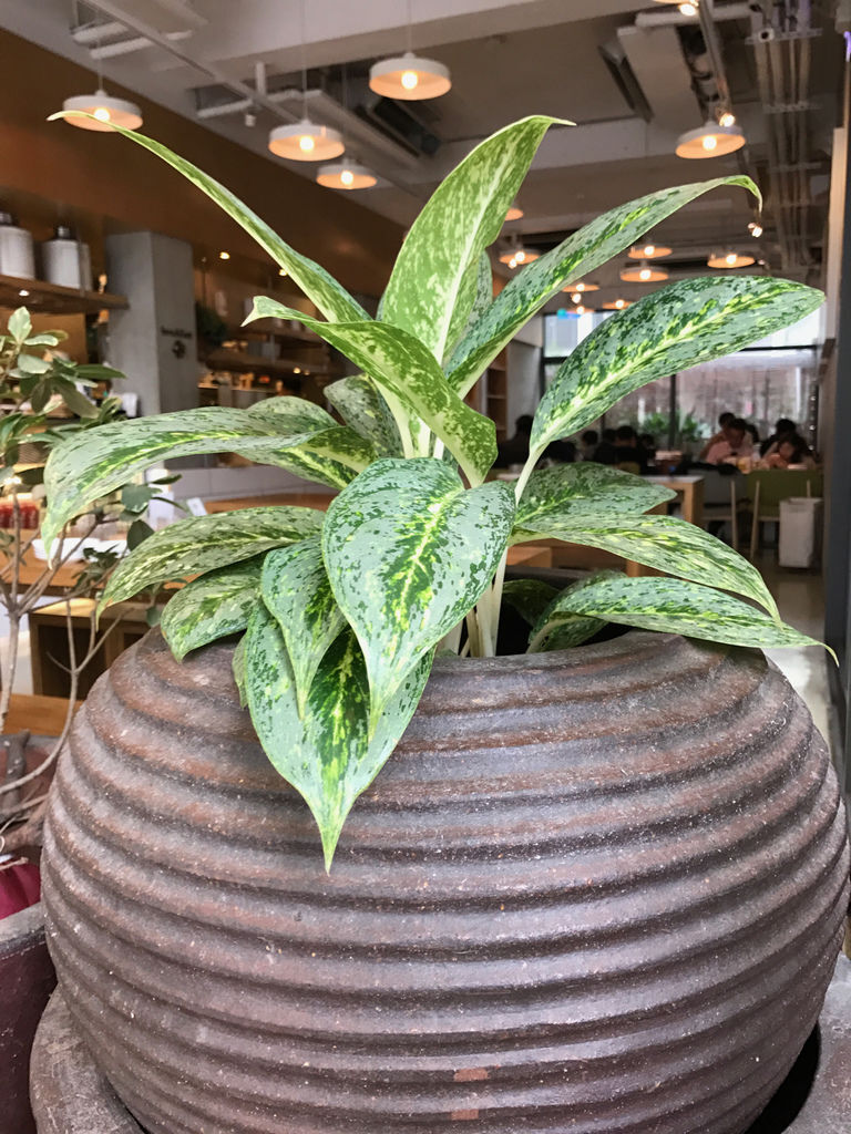 IMG_3582.jpg IMG_3582.jpg