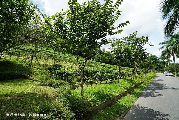 DSC00771.JPG DSC00771.JPG