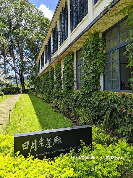 IMG_7048.JPG IMG_7048.JPG