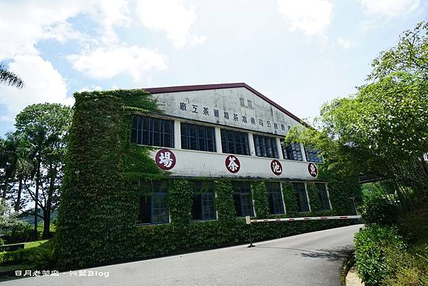 DSC00737.JPG DSC00737.JPG