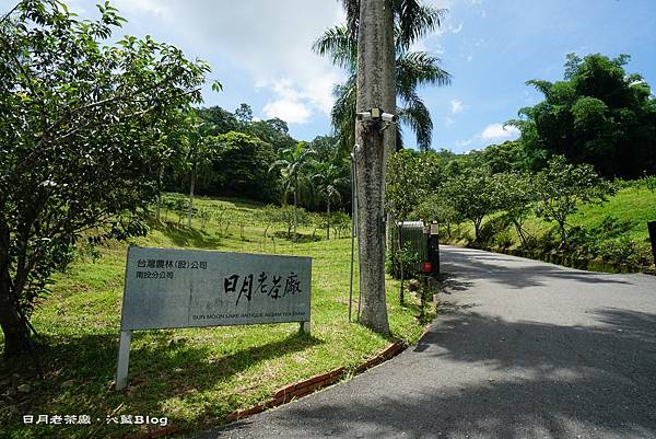 DSC00736.JPG DSC00736.JPG