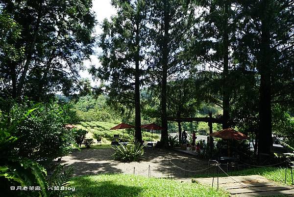 DSC00740.JPG DSC00740.JPG