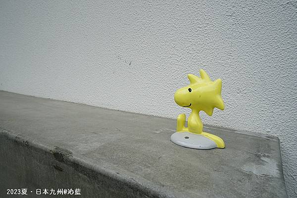 DSC09005.JPG