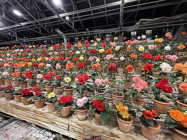 IMG_5951.JPG IMG_5951.JPG