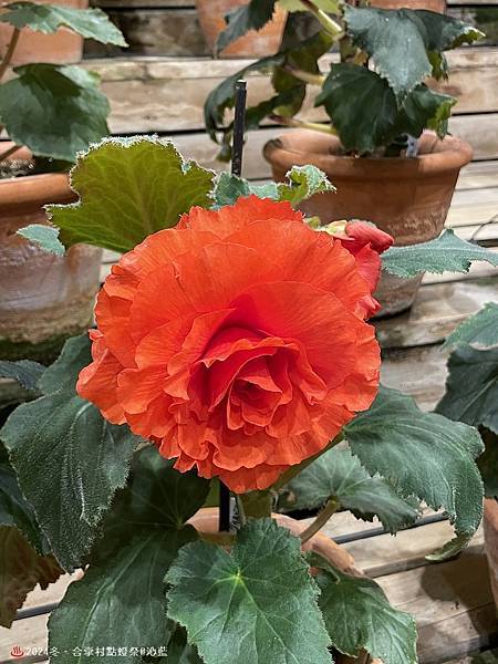 IMG_5948.JPG IMG_5948.JPG