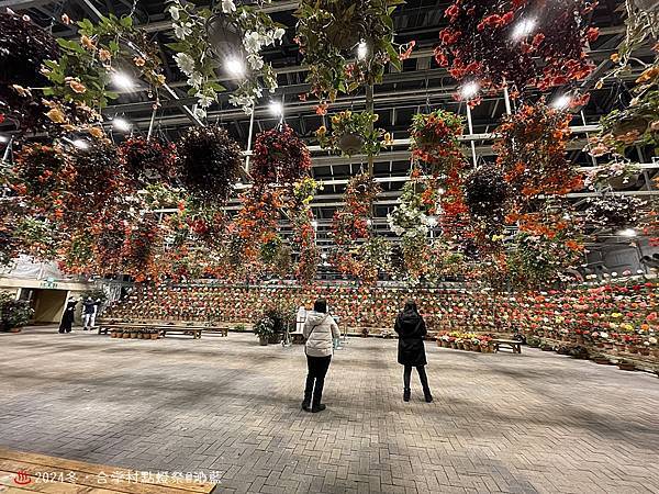 IMG_5944.JPG IMG_5944.JPG