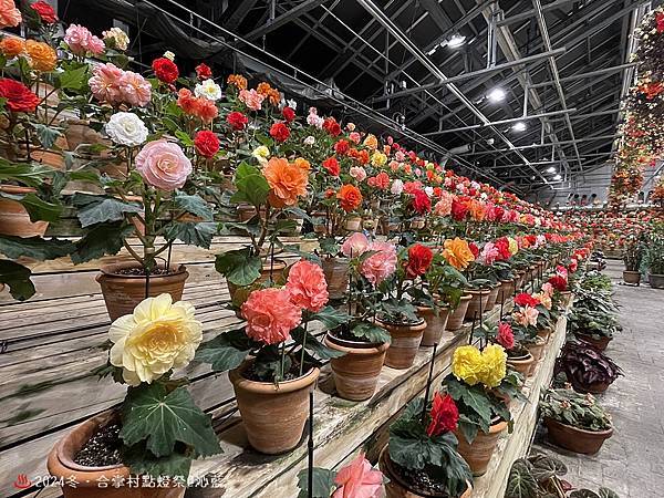 IMG_5955.JPG IMG_5955.JPG