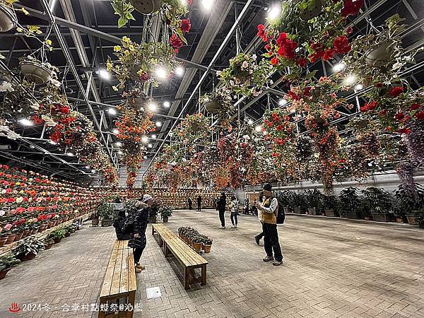 IMG_5956.JPG IMG_5956.JPG