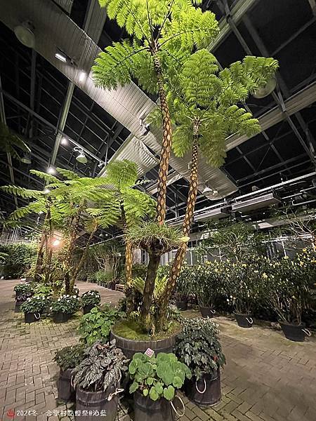 IMG_5963.JPG IMG_5963.JPG