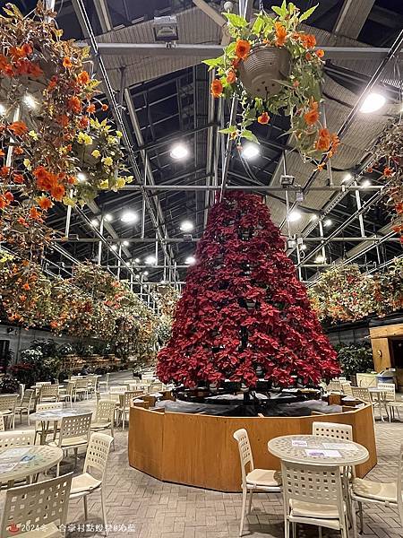 IMG_5972.JPG IMG_5972.JPG