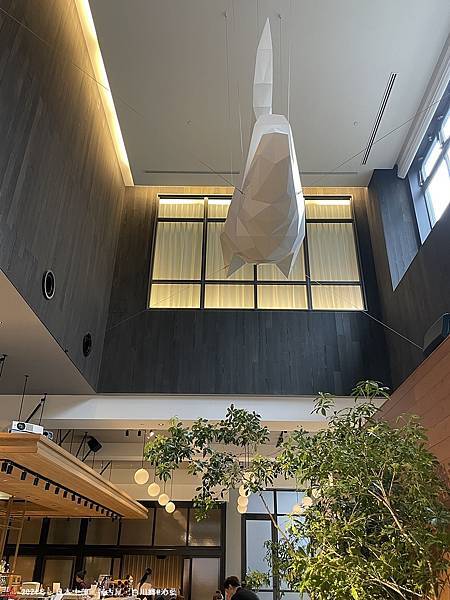 IMG_6182.JPG IMG_6182.JPG