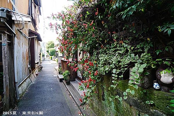 東京谷根千 東京谷根千