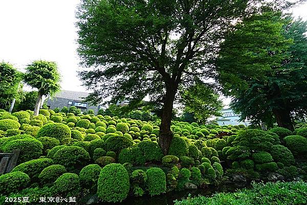 東京谷根千 東京谷根千