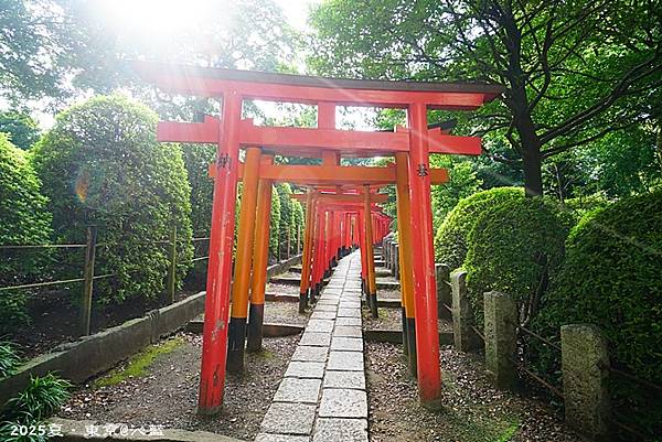 東京谷根千 東京谷根千