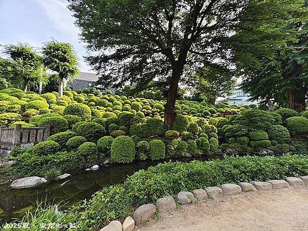 東京谷根千 東京谷根千