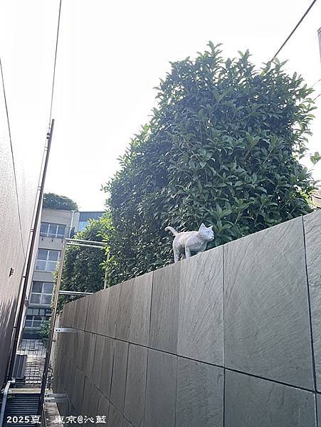 東京谷根千 東京谷根千