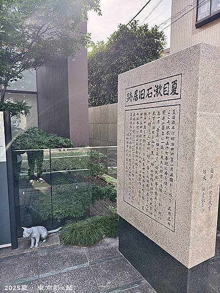 東京谷根千 東京谷根千