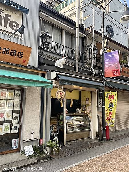 東京谷根千 東京谷根千