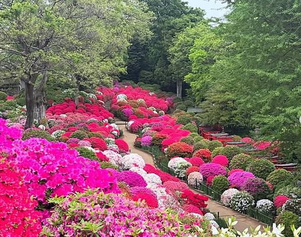 根津神社官網.jpg 根津神社官網.jpg