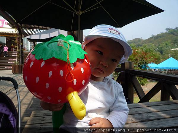 P1030527.JPG P1030527.JPG