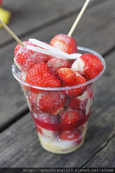 DSC01481.JPG DSC01481.JPG