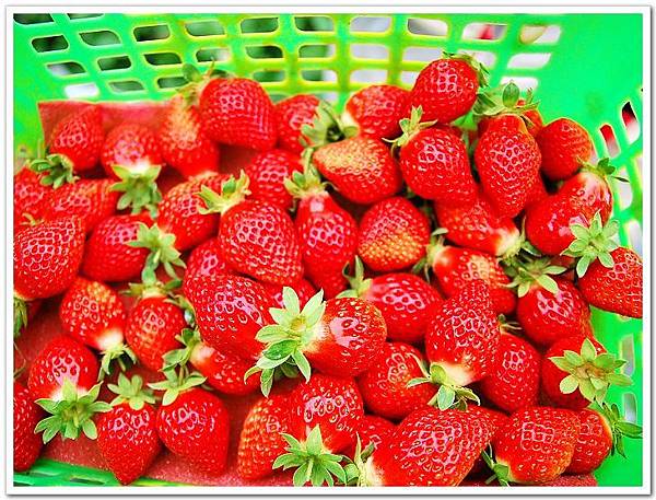 草莓2.jpg 草莓2.jpg