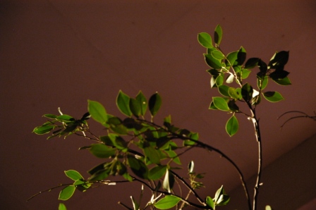 DSC_6331 DSC_6331