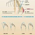 vol.3-樂活報-1.jpg