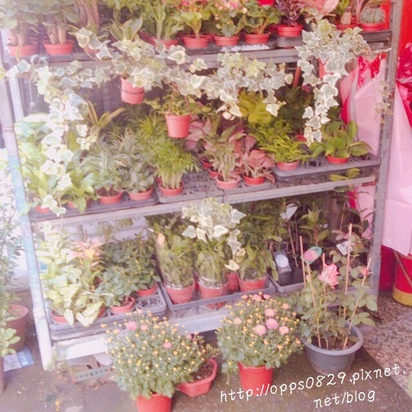 20160410_4079.jpg