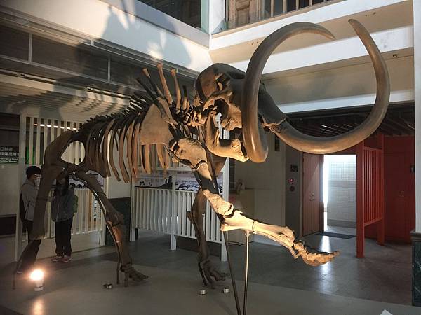 魔法綠色教室6 魔法綠色教室6