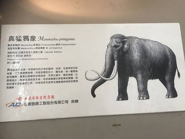 魔法綠色教室7 魔法綠色教室7