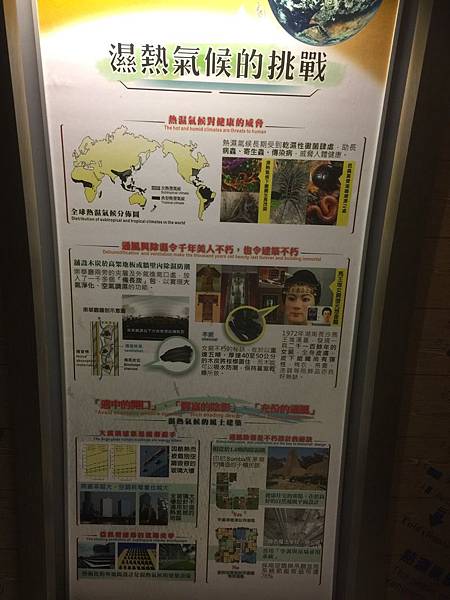 魔法綠色教室14 魔法綠色教室14