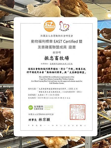 別只看價格，真正影響孩子健康的是「這一顆」