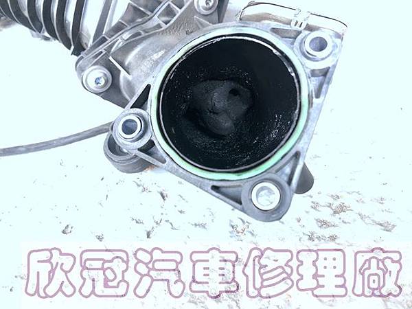 IMG_3480.jpg IMG_3480.jpg