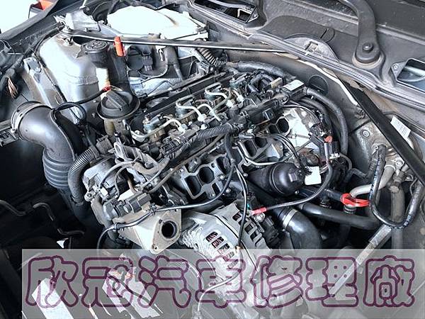 IMG_3479.jpg IMG_3479.jpg