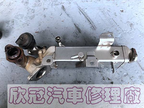 IMG_3485.jpg IMG_3485.jpg