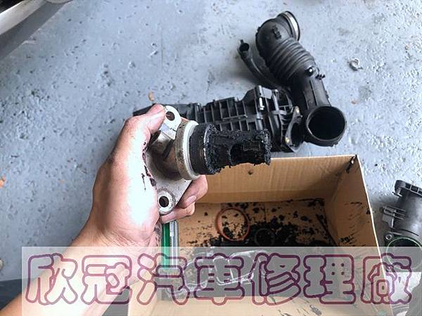 IMG_3487.jpg IMG_3487.jpg